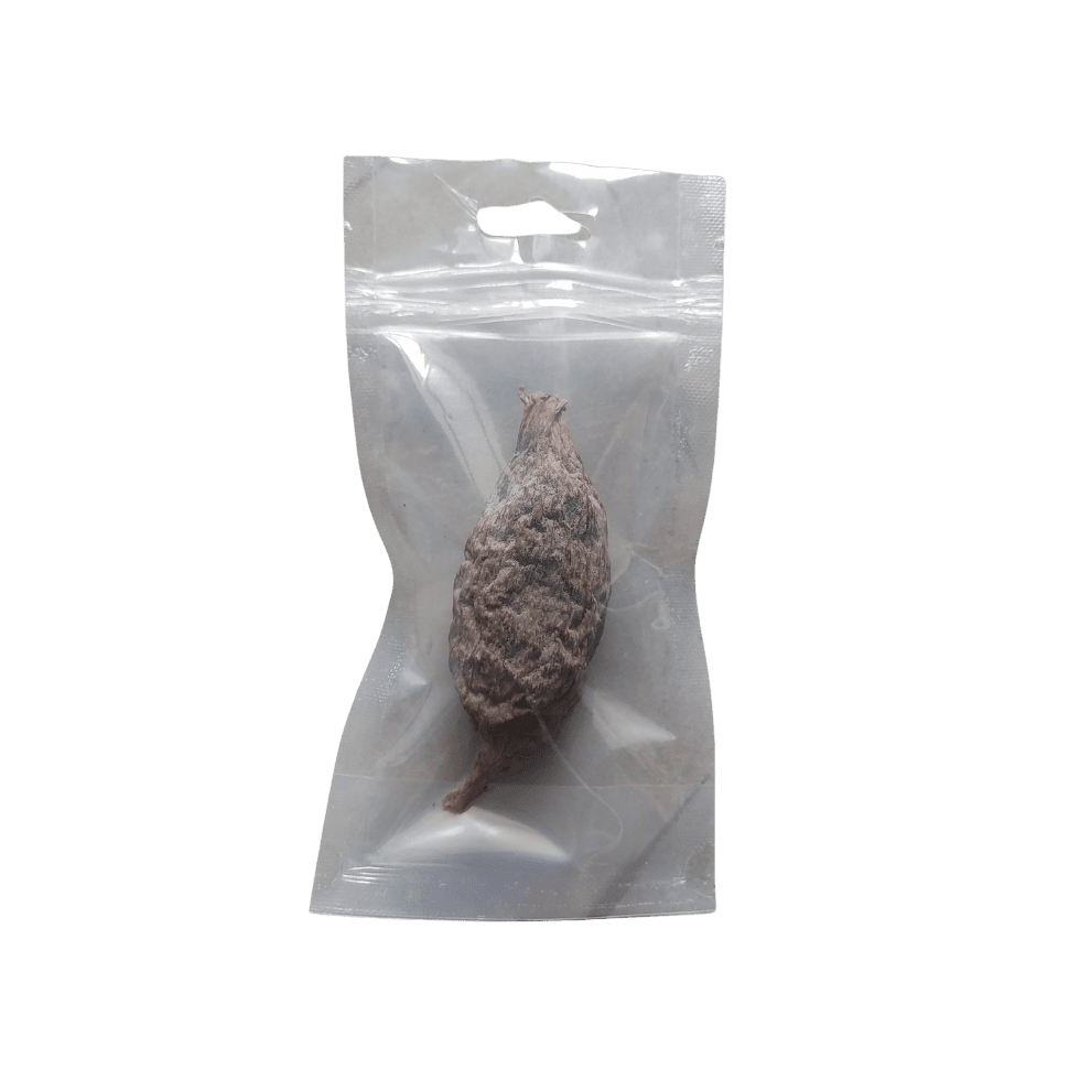 Alligator pepper