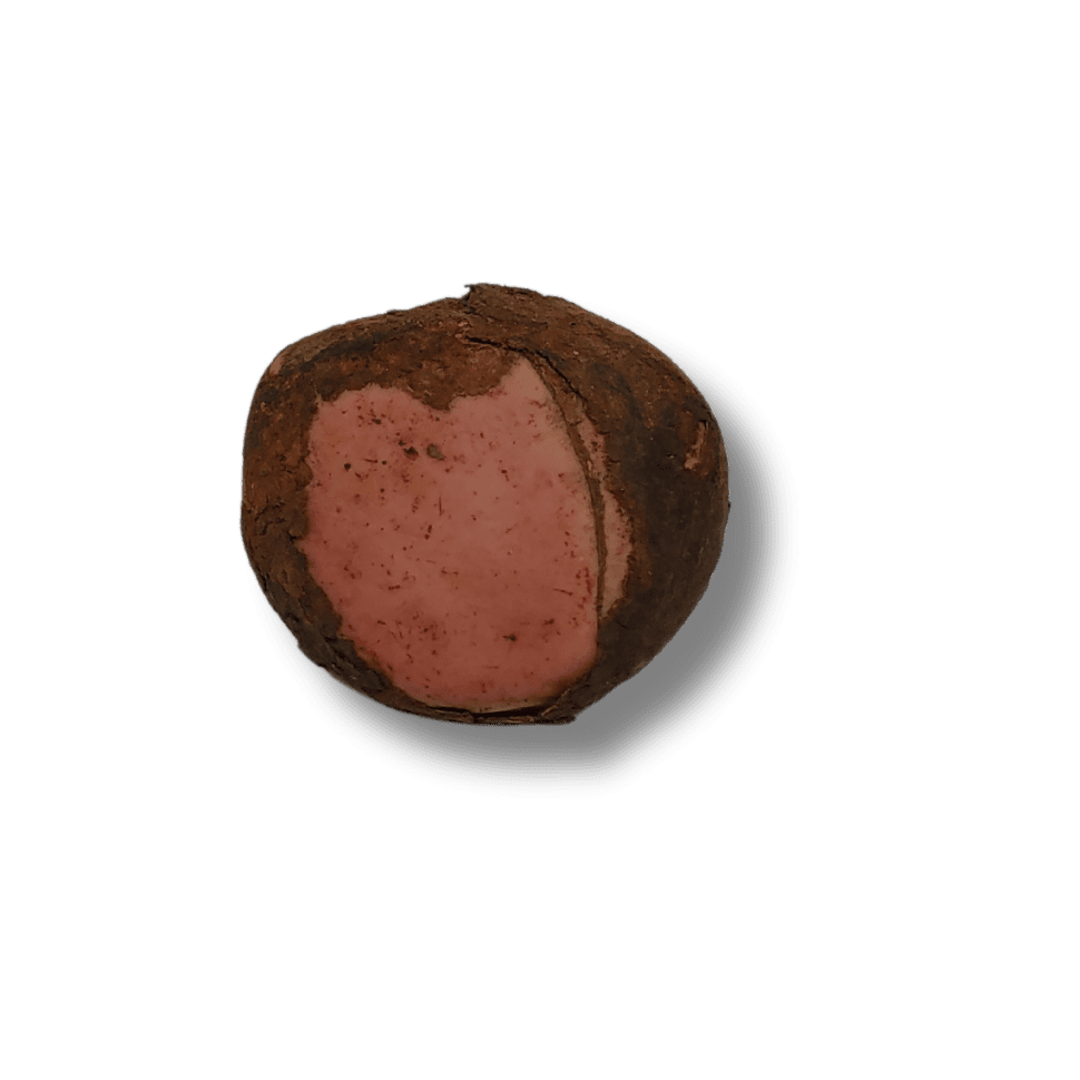 Kola Nut Kola Nut